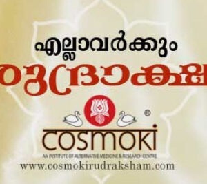 Cosmoki Healing Solution – Ernakulam
